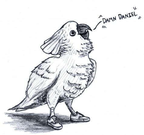 Damn, parrot