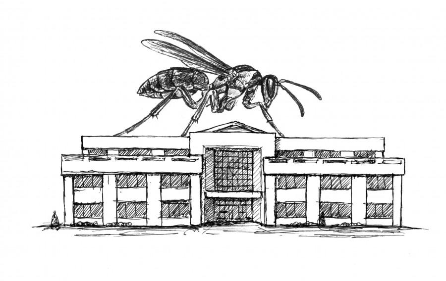 Wasps invade Orr Center, distract students