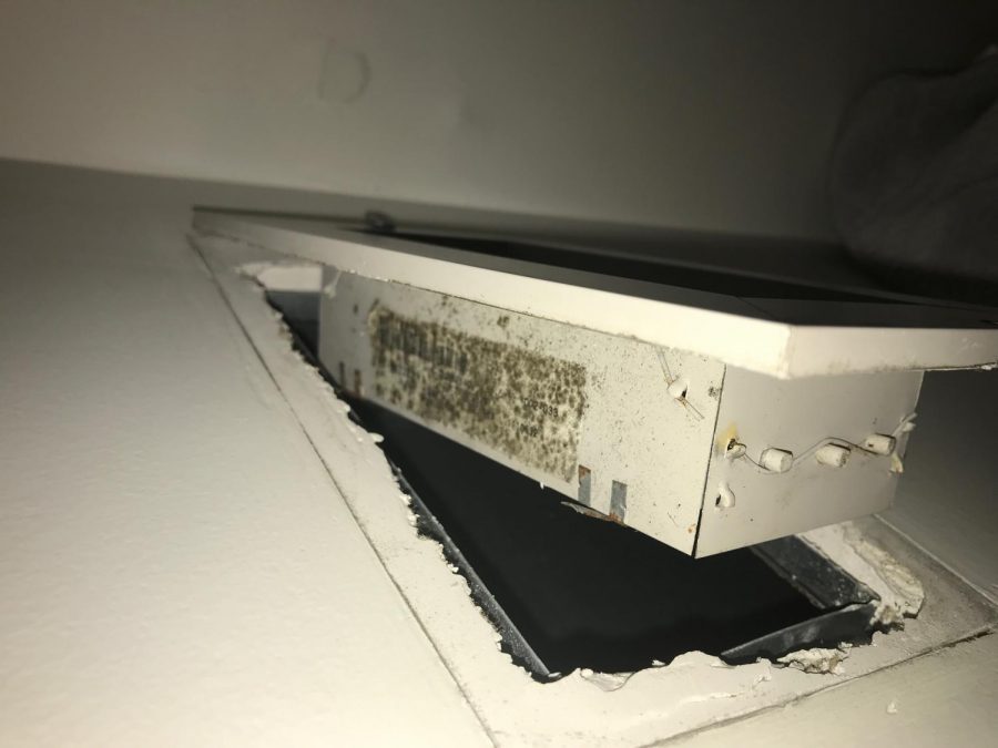Freshman undecided major Dorsa Khatibi discovers mold on an air vent in her apartment.