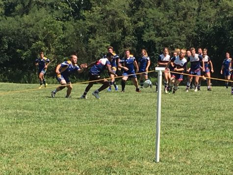 Passion, pain, rugby