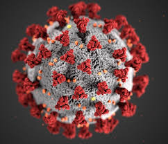 An illustration of the coronavirus.
