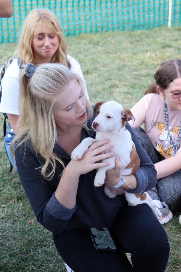 Elli Crosby, Senior, early childhood development major snuggles with a puppy at Sigma Tau Gammas Pet-A-Pup event on Wednesday. Puppy kisses, they just make you smile, Crosby said.