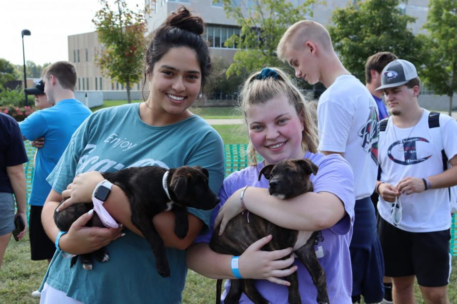 Simrin Singh, a senior communications major, and Elizabeth Angermeier, a sophomore nursing major both cuddle up to some pups at Sigma Tau Gammas Pet-A-Pup event on Wednesday. The puppies are both ten weeks old and are available for adoption.
