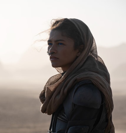 Zendaya plays Chani in Dune. Zendaya is disappointingly only in the movie for seven minutes. 