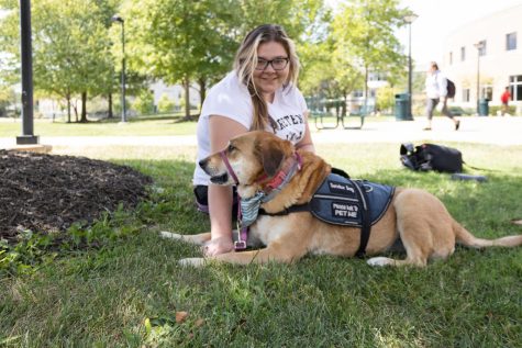 why do service dogs cost so much