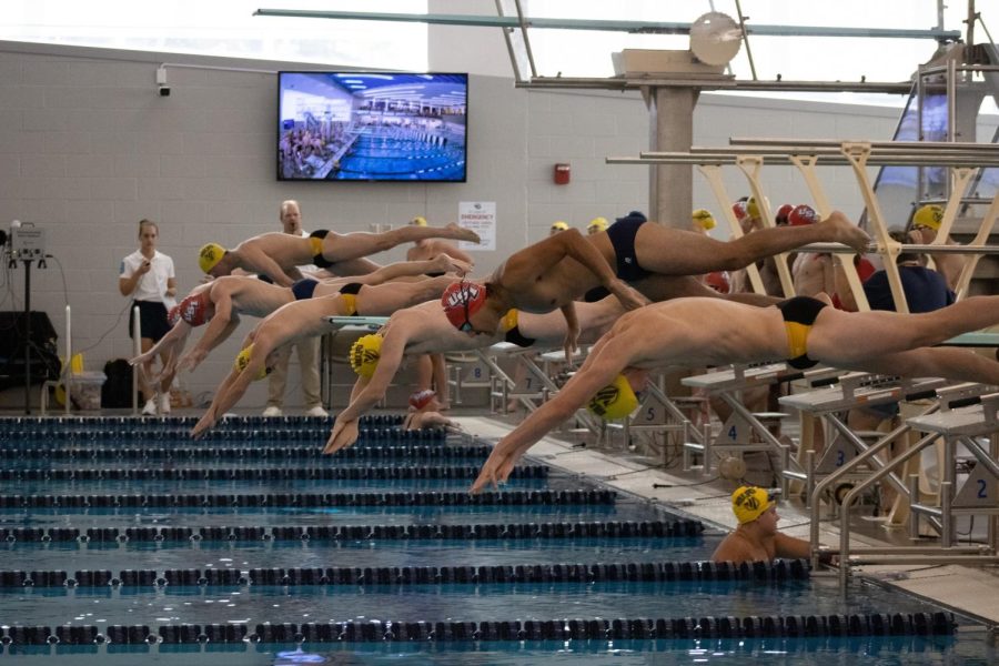 The mens swim team leaps into the water to compete against Valparaiso in the Aquatic Center Saturday.