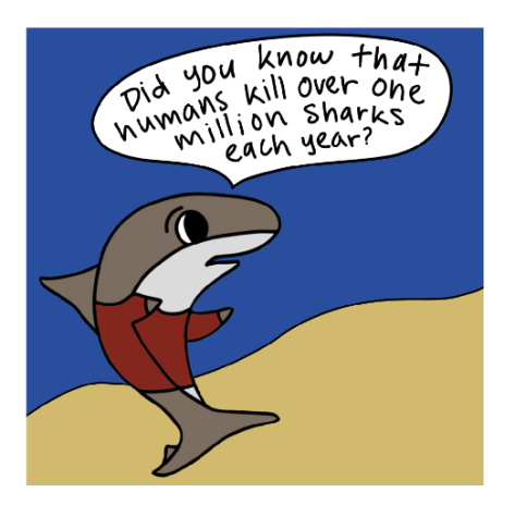 Life with Lawrence: Save the sharks