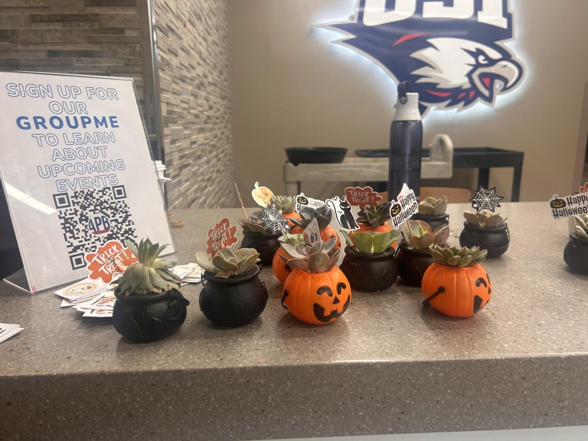 Halloween-themed succulents sit on display at the Succulent Giveaway hosted by the Activities Programming Board Tuesday in University Center West.