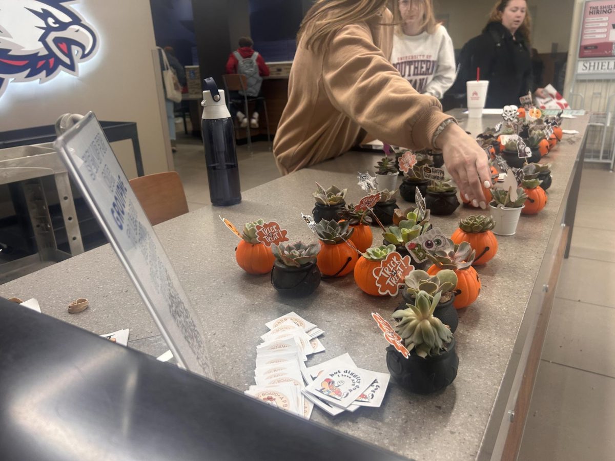 Succulents sit on display at the Succulent Giveaway hosted by the Activities Programming Board Tuesday in University Center West.