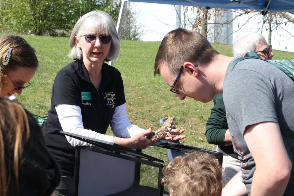 Attendees look at a bearded dragon at Mesker Park Zoo’s Solarpalooza station. 