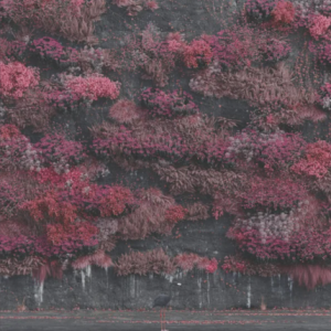 The album artwork for “Even in Arcadia,” the fourth studio album released by the anonymous British band Sleep Token, is a collaboration between company Noruwei, Elia Pellegrini and Locus Solus Studio.