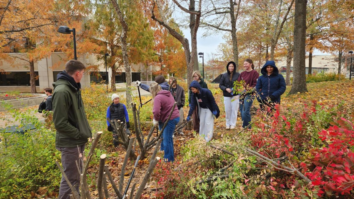 USI students cut down burning bushes on Nov. 18 outside the Pott College building. (Photo by Edith Hardcastle)