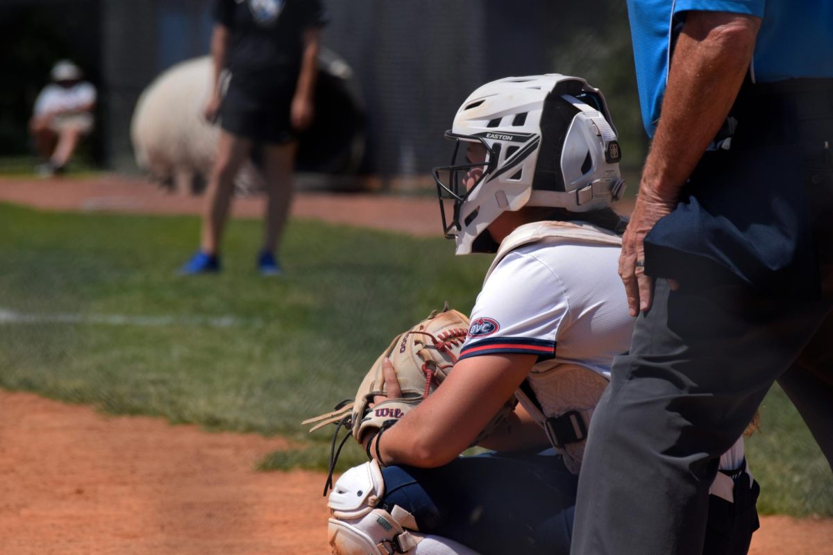 Catcher stance