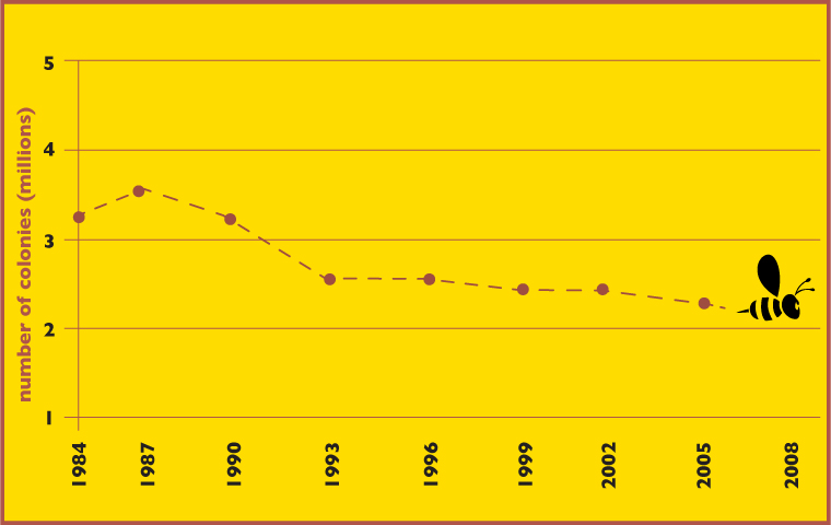 This graph represents the number of honey producing colonies in the U.S.  from 1984 to 2008. The colony calculations were gathered by the National Agriculture Statistics Service based on honey producers having five or more colonies. Colonies that produced honey in more than one state are counted in each state. Overall, the number of managed honey producing colonies in the U.S. has declined since the late 1940s, when the total number of colonies peaked at almost six miillion. Information for this graphic is based on information from the International Bee Research Association.