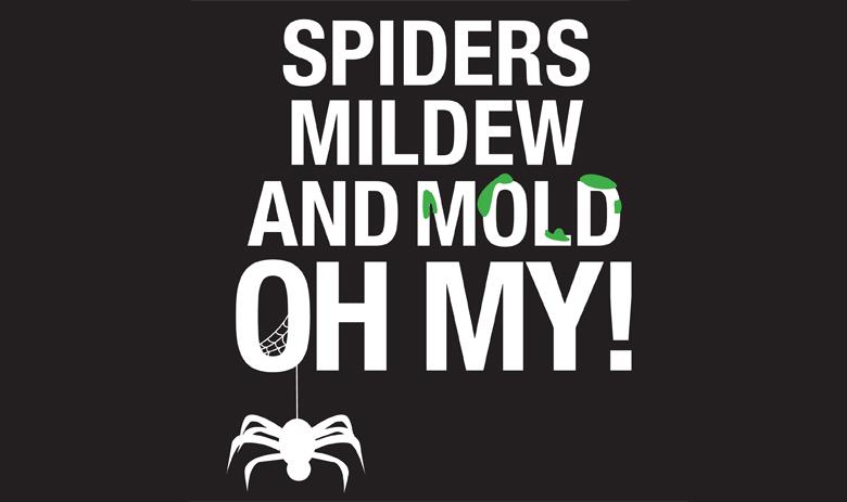 Mold, venomous spiders concern campus residents 